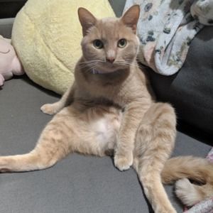 Meet your Posher, Ashleigh